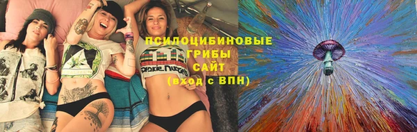 a pvp Алексин